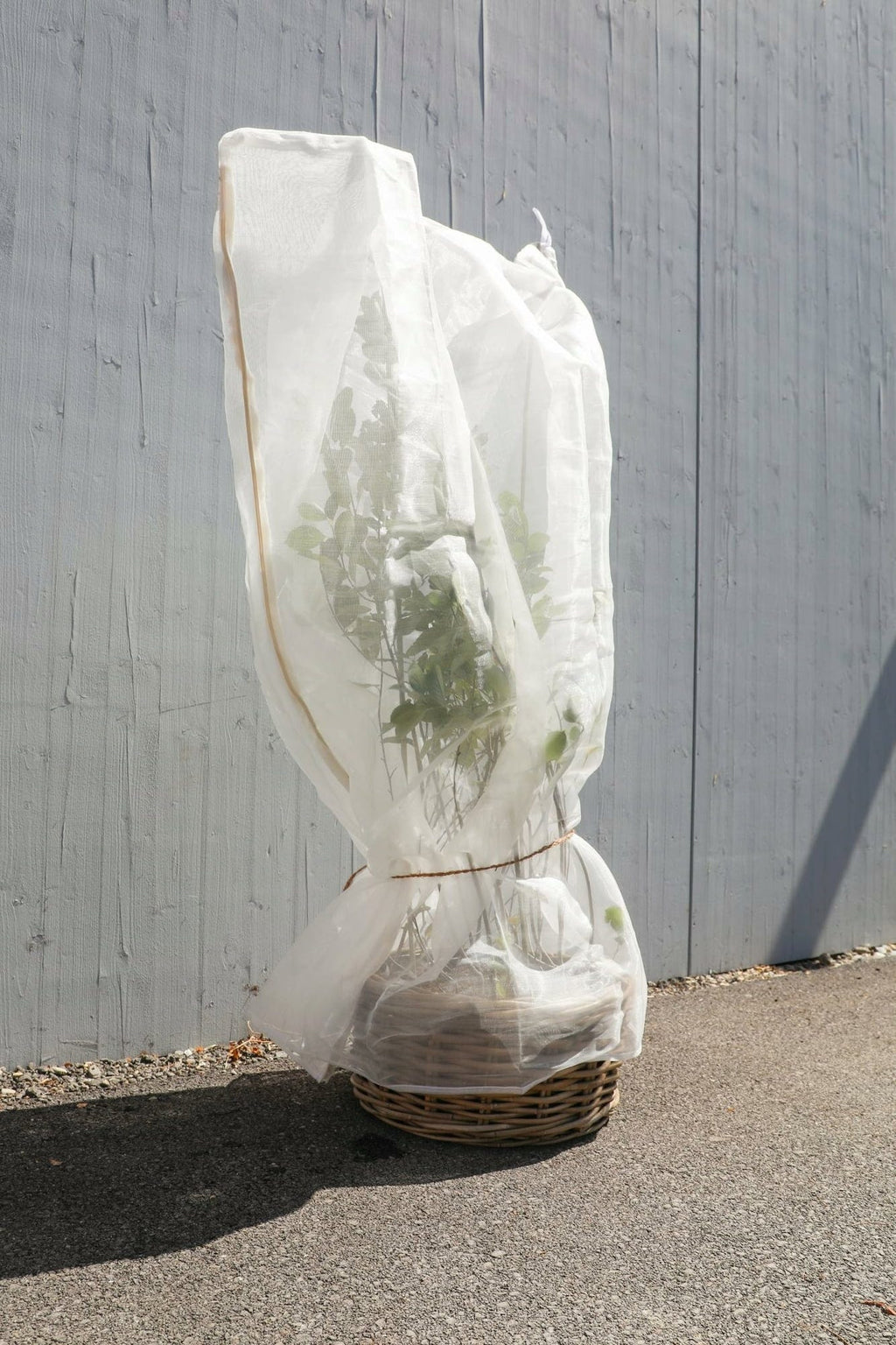  Drosal Schutznetz Für Beerensträucher
