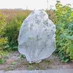  InsectoNet - Kulturschutznetz, 5 X 2,1 M