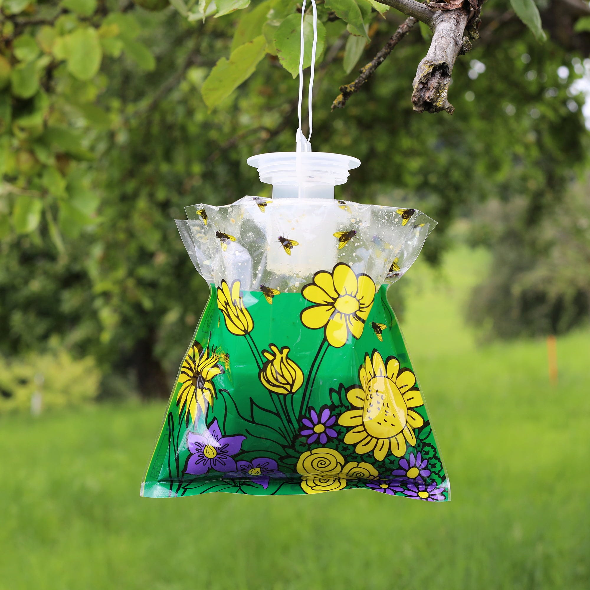  Fliegenfalle Outdoor
