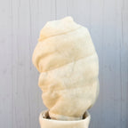  Frostschutzvlies