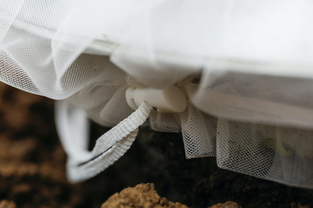  Insektenschutz-Tasche "Gemüse", 6 Stück