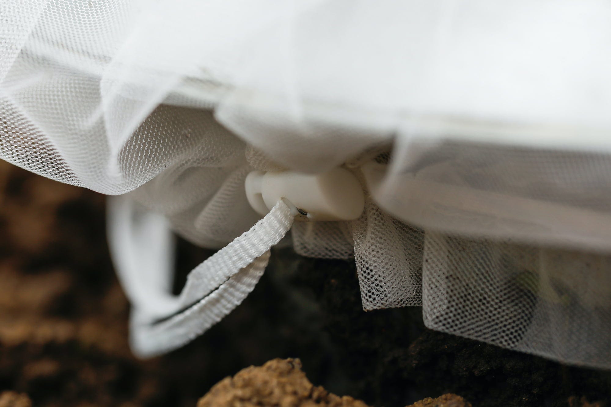  Insektenschutz-Tasche "Gemüse", 6 Stück