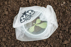  Insektenschutz-Tasche "Gemüse", 6 Stück