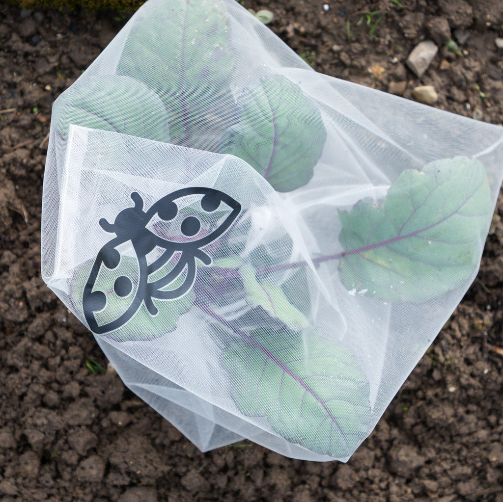  Insektenschutz-Tasche "Gemüse", 6 Stück