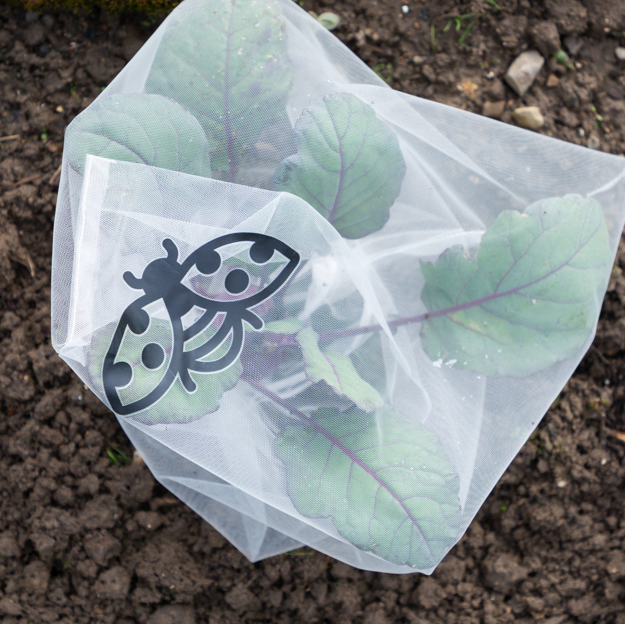  Insektenschutz-Tasche "Gemüse", 6 Stück