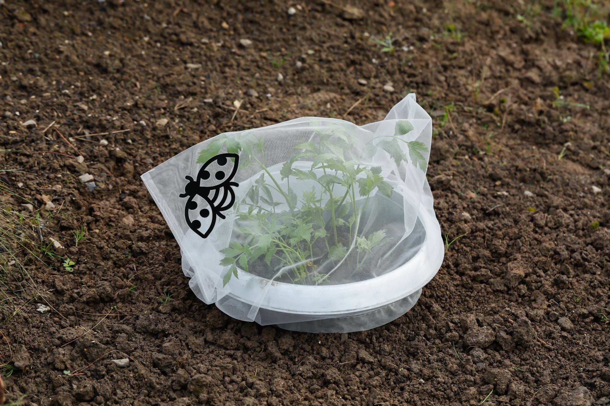  Insektenschutz-Tasche "Staude", 6 Stück
