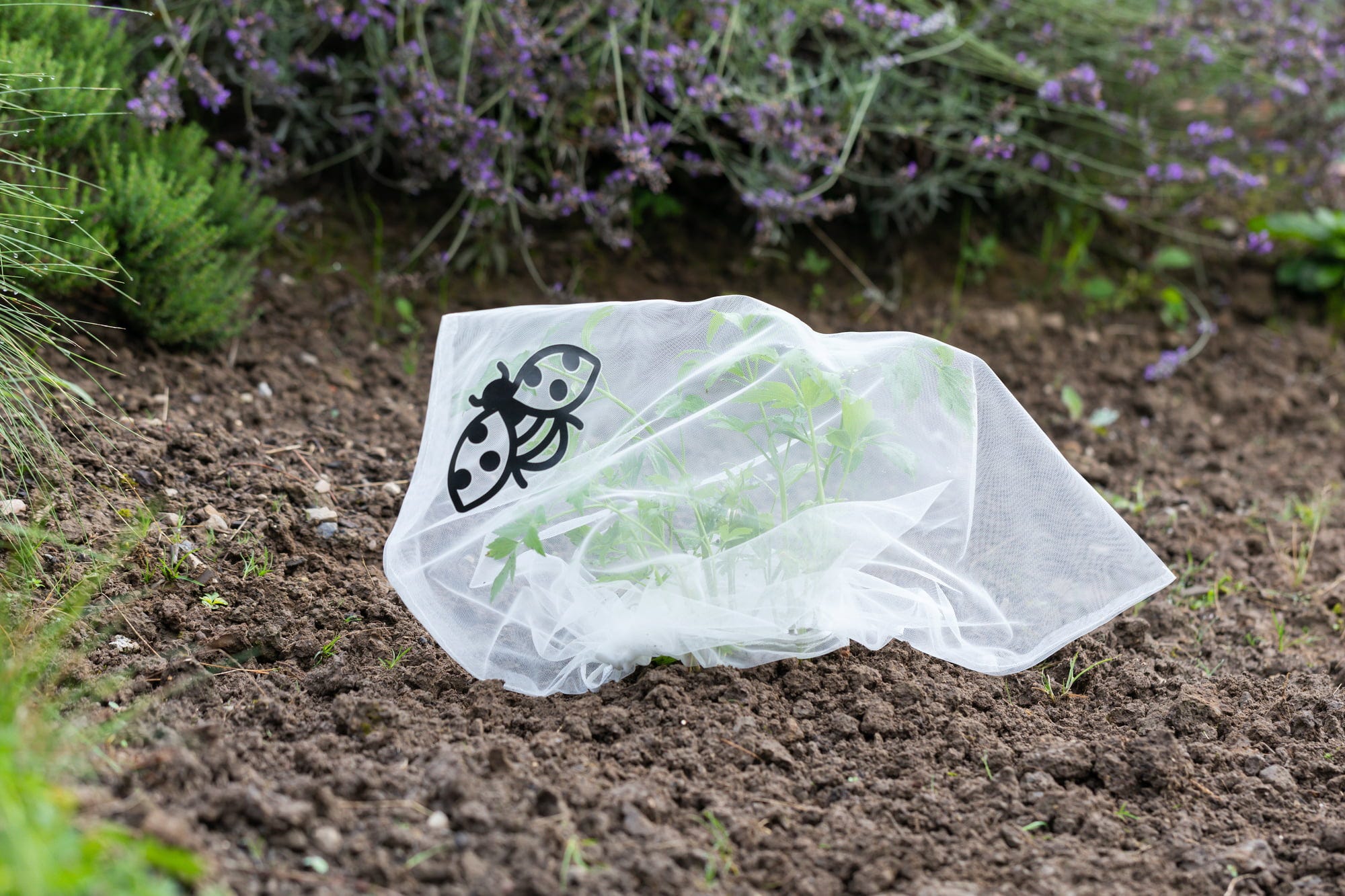  Insektenschutz-Tasche "Staude", 6 Stück