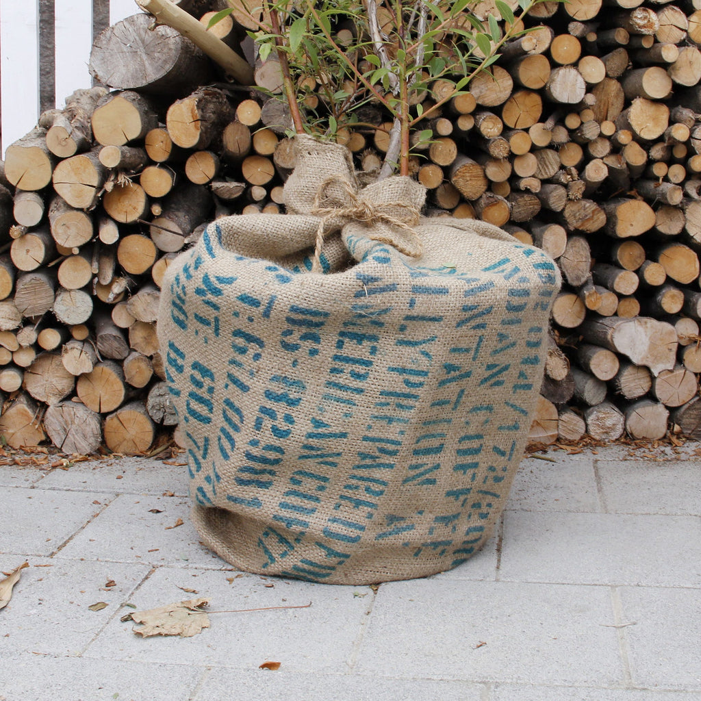  Jute-Winterschutz 200 X 70 Cm