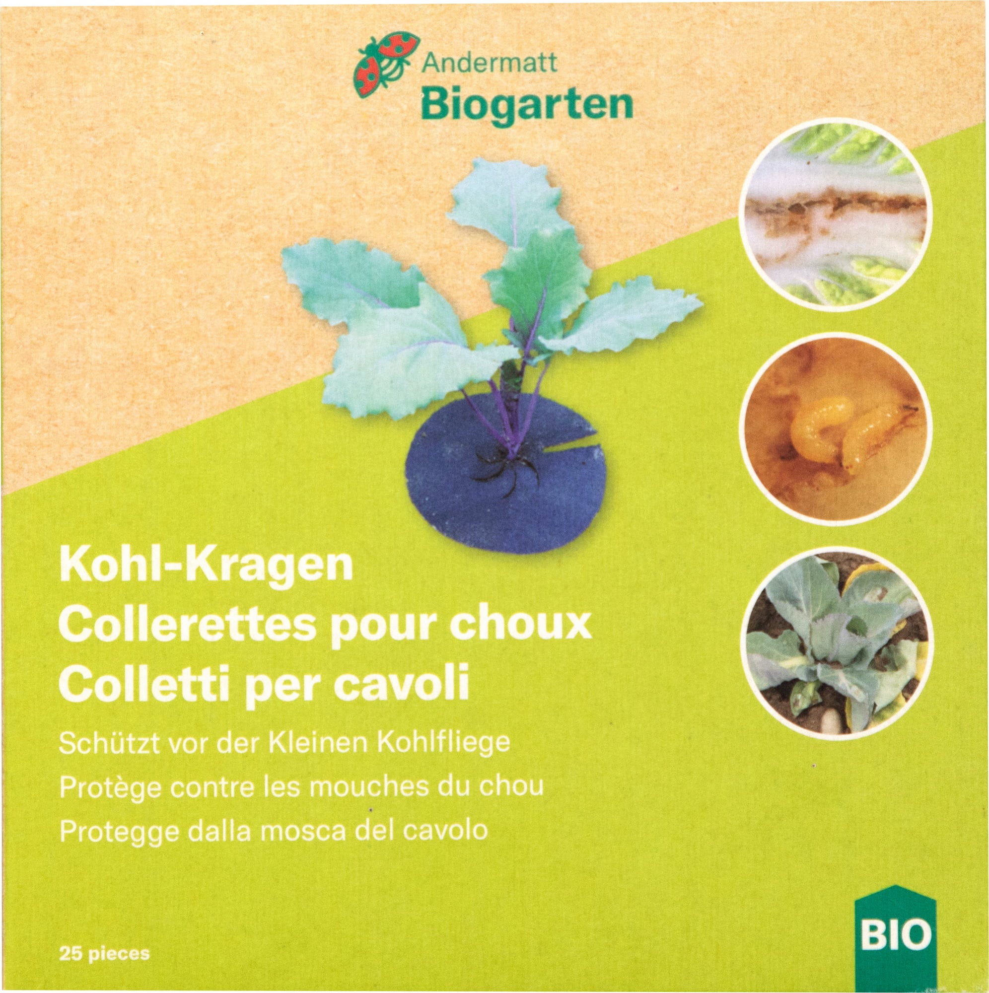  Kohl-Kragen