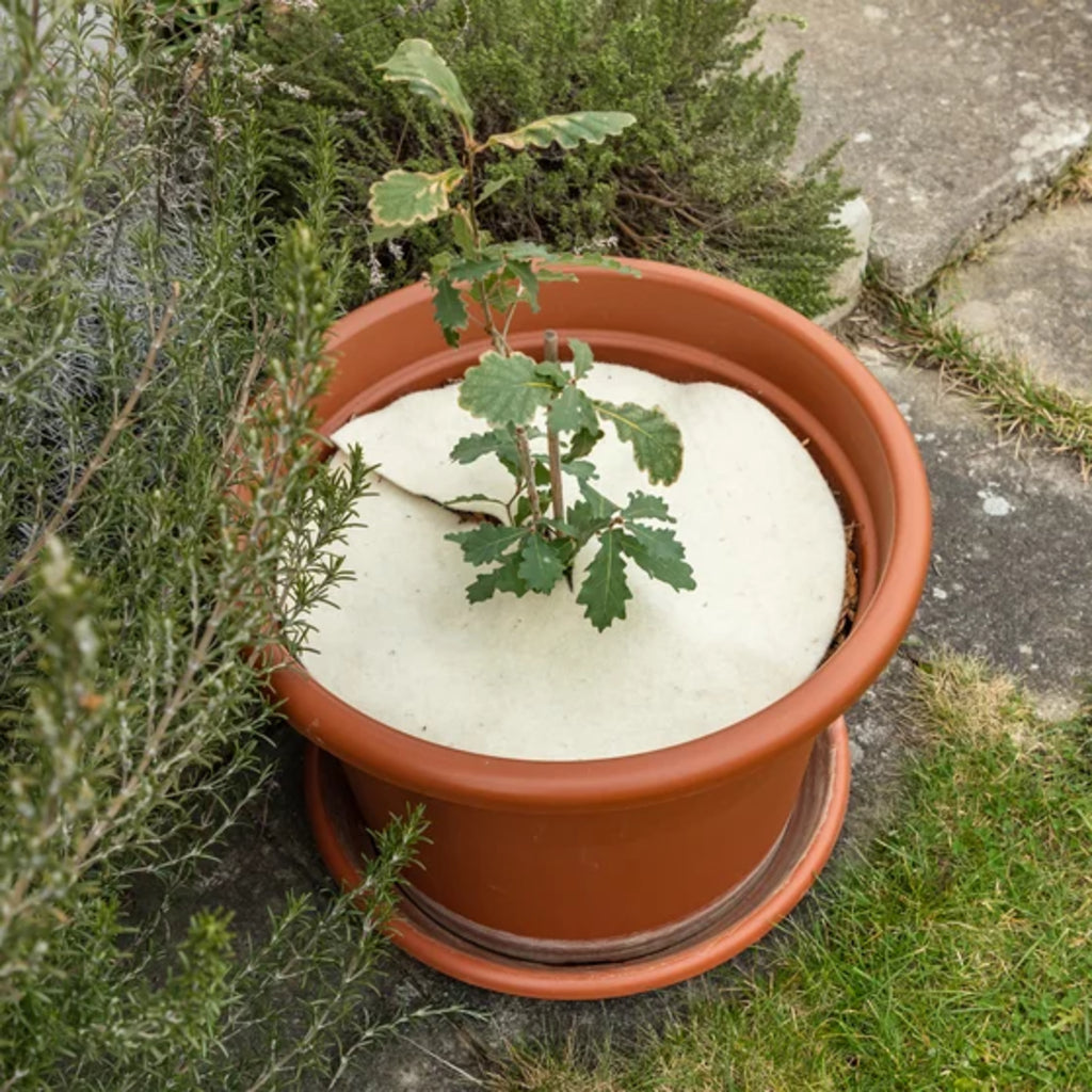  Mulchscheibe, ∅ 25 Cm