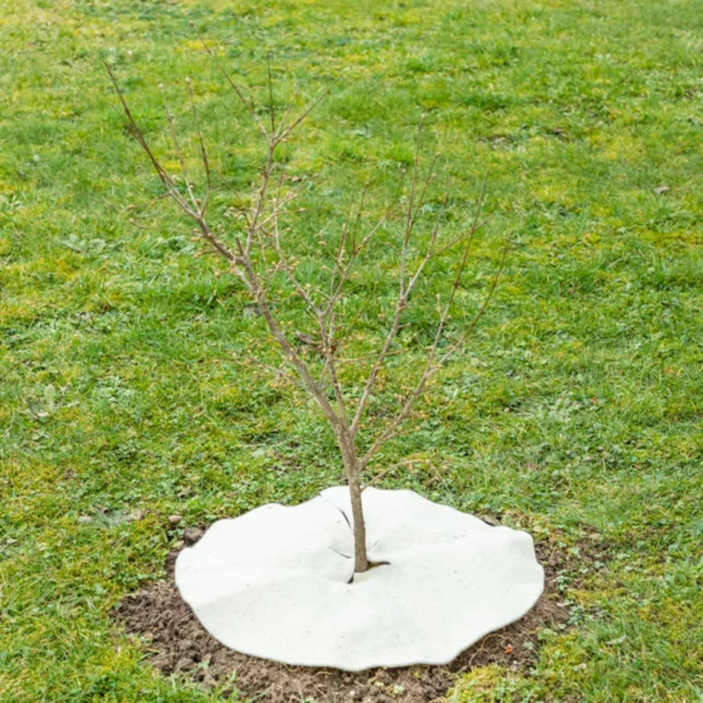  Mulchscheibe, ∅ 25 Cm