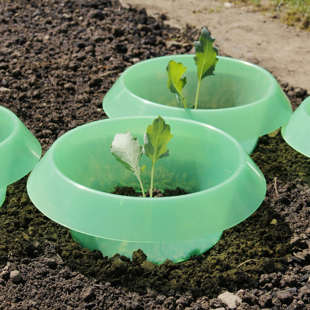  SchneckenStopp PP - 12er Set, Transparent