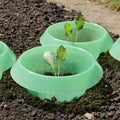  SchneckenStopp PP - 12er Set, Transparent
