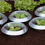  SchneckenStopp FE Klein - 3er Set, 3 Stück