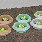  SchneckenStopp PP - 12er Set, Transparent