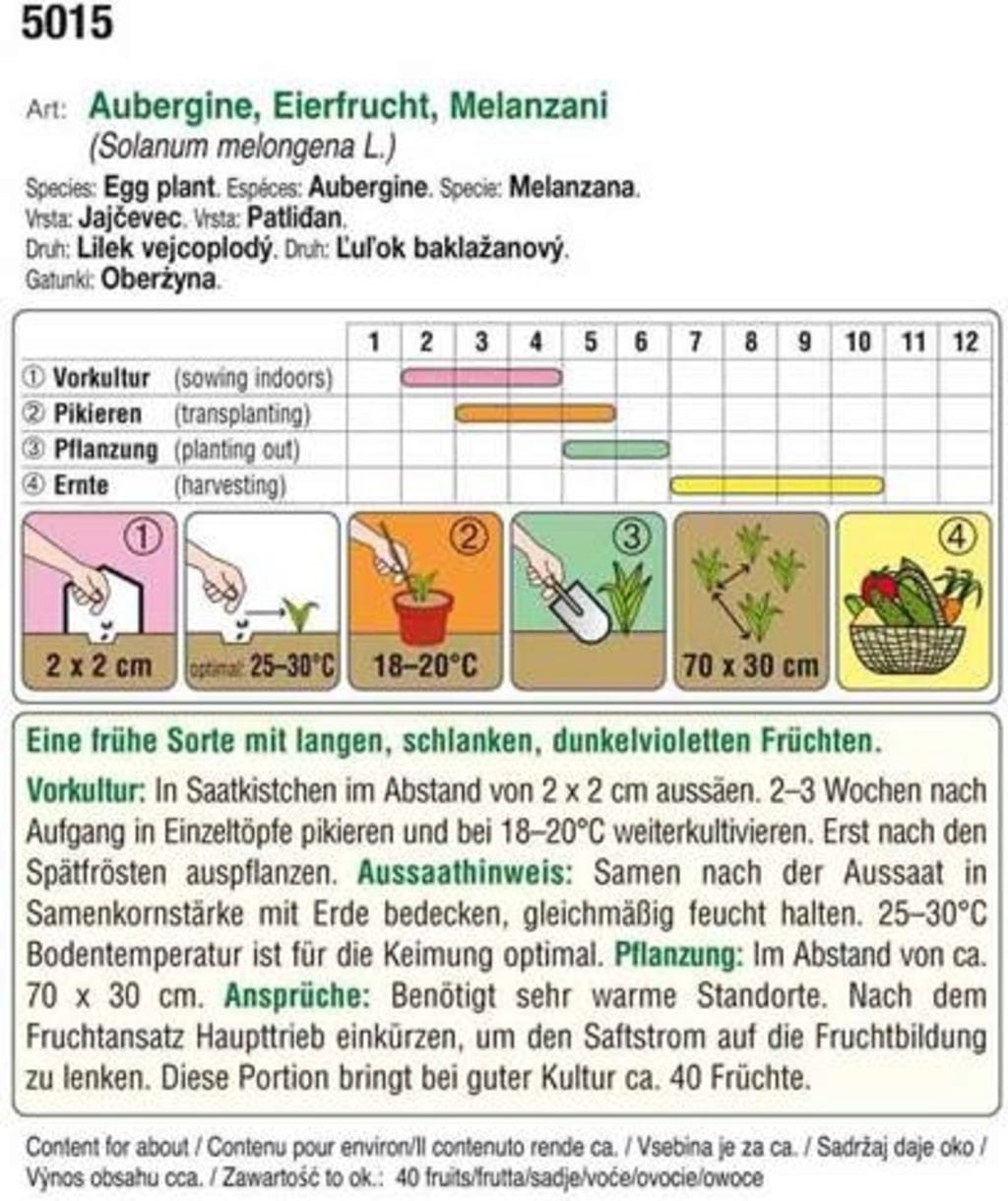  Bio Aubergine Violetta Lunga 3