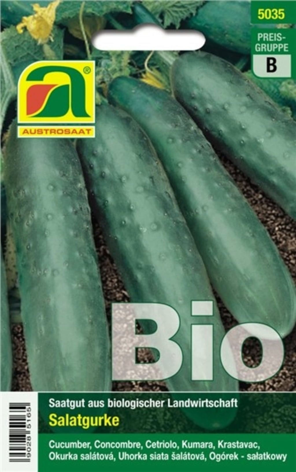  Bio Salatgurke "Marketmore"
