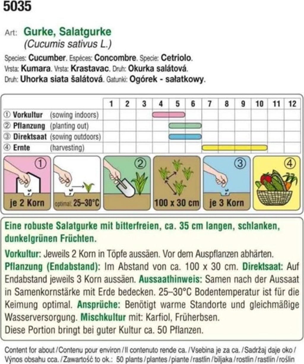  Bio Salatgurke "Marketmore"