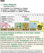  Bio Salatgurke "Marketmore"
