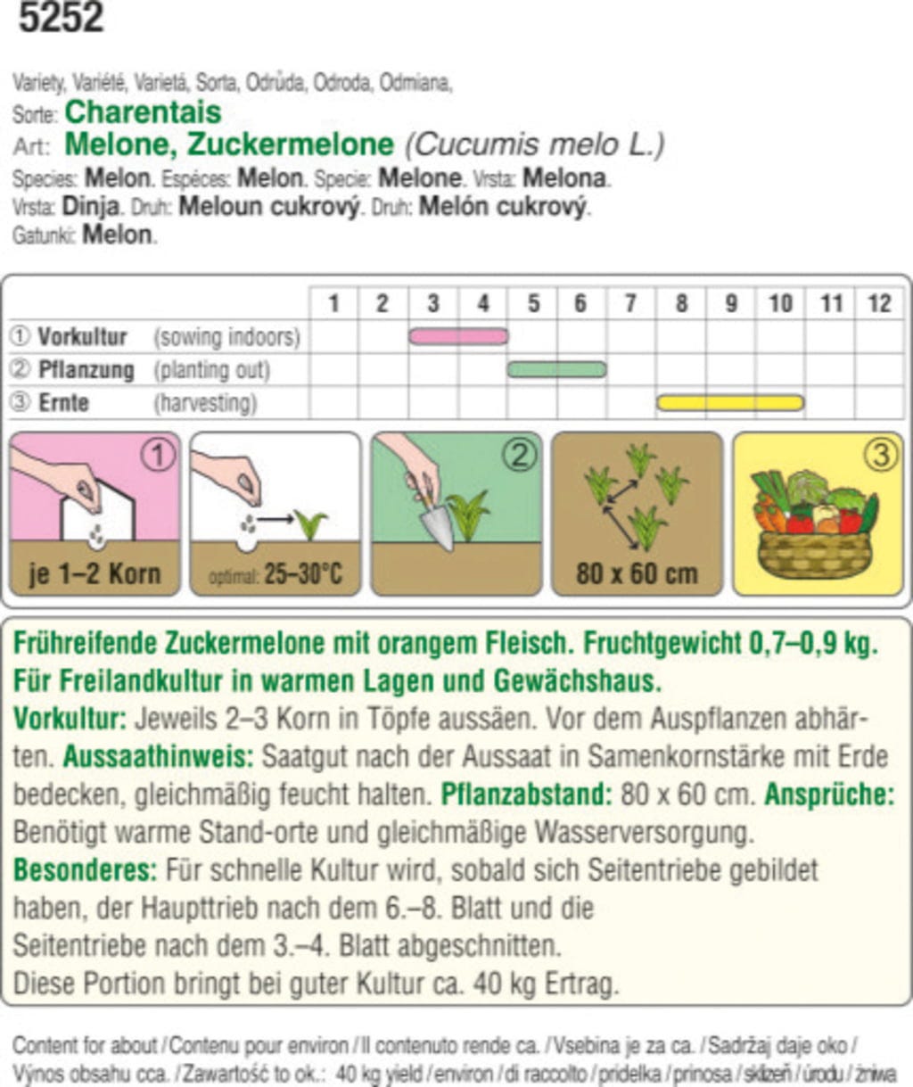  Bio Zuckermelonen Charentais