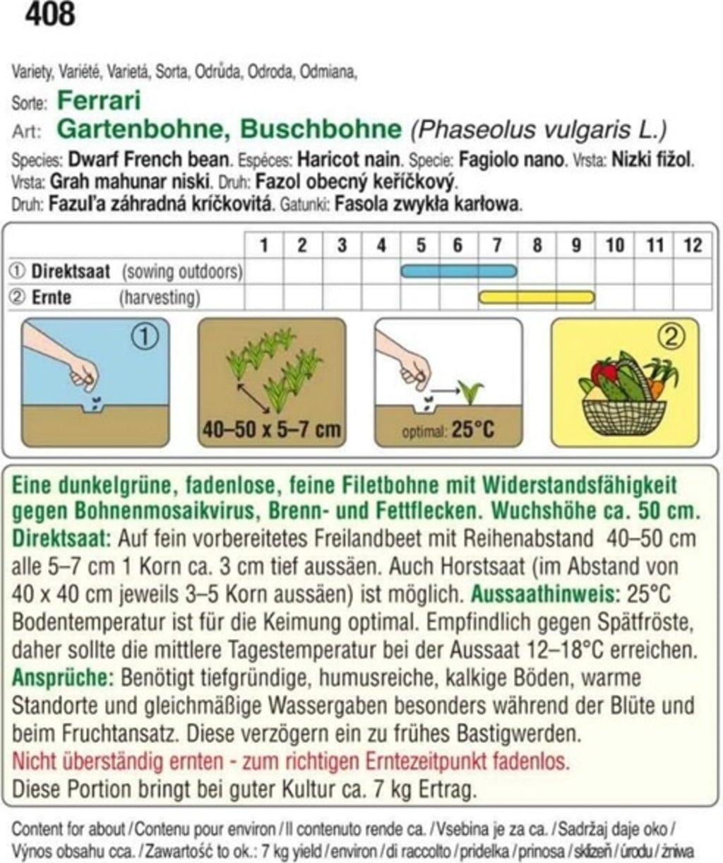  Buschbohne "Ferrari"