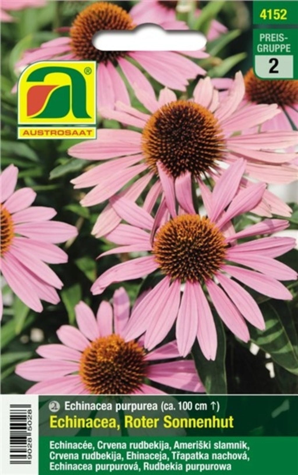  Echinacea "Roter Sonnenhut"