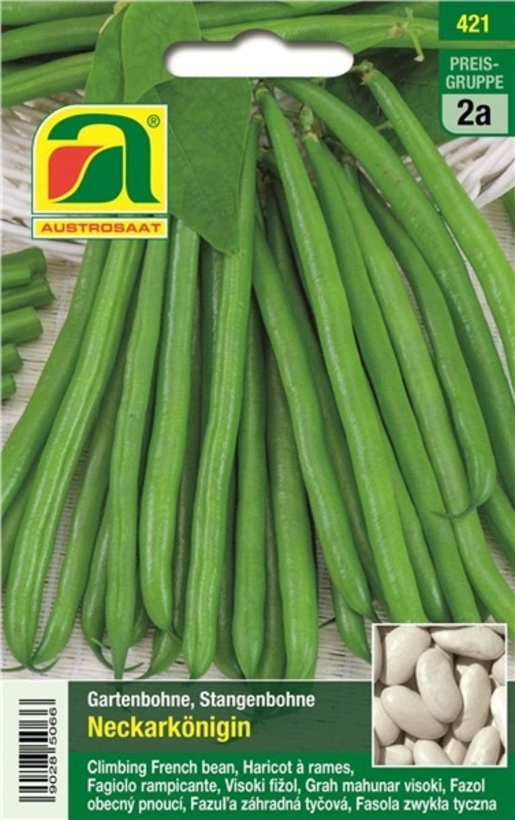  Stangenbohne "Neckarkönigin"