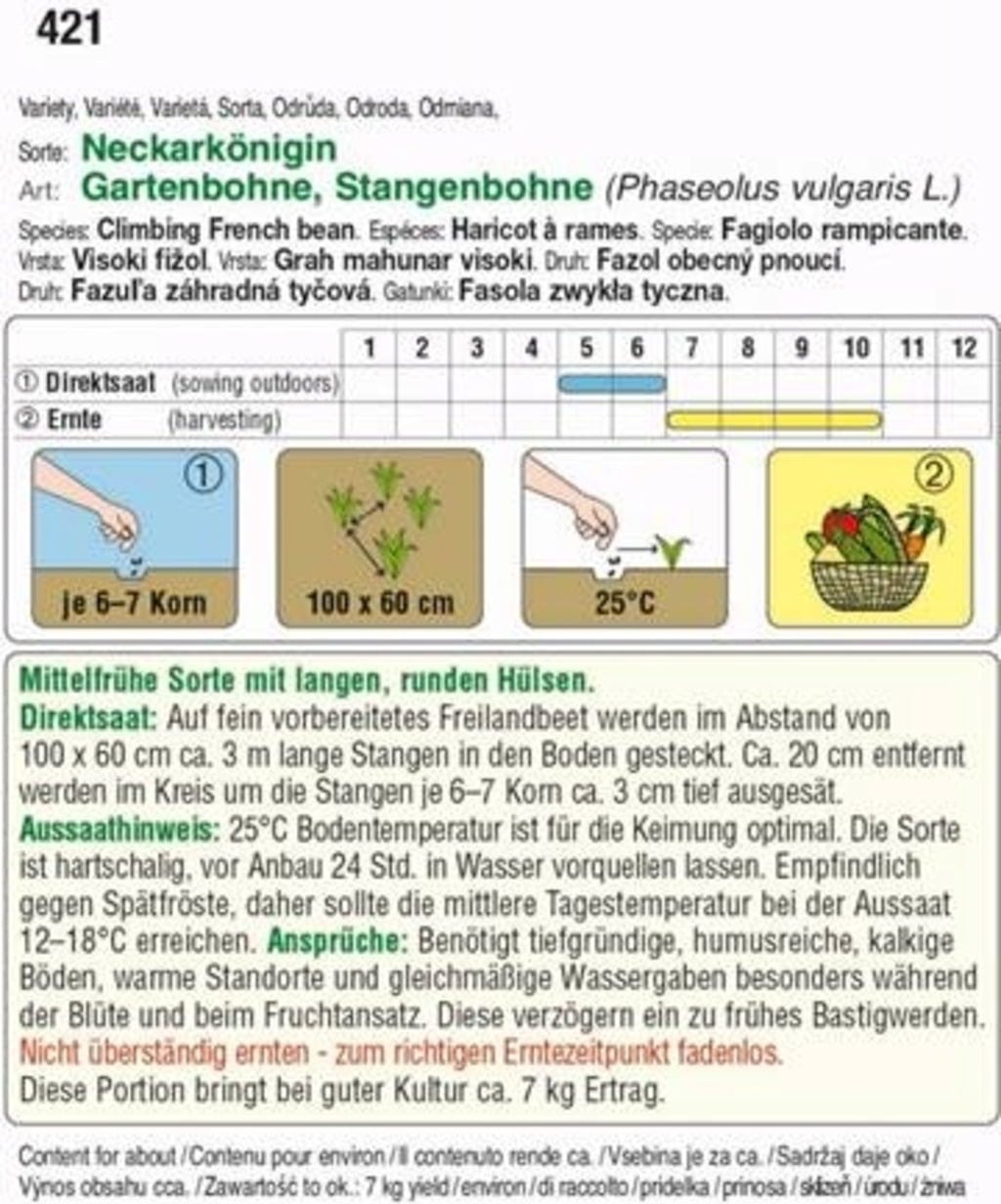  Stangenbohne "Neckarkönigin"