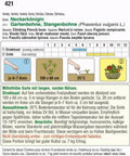  Stangenbohne "Neckarkönigin"