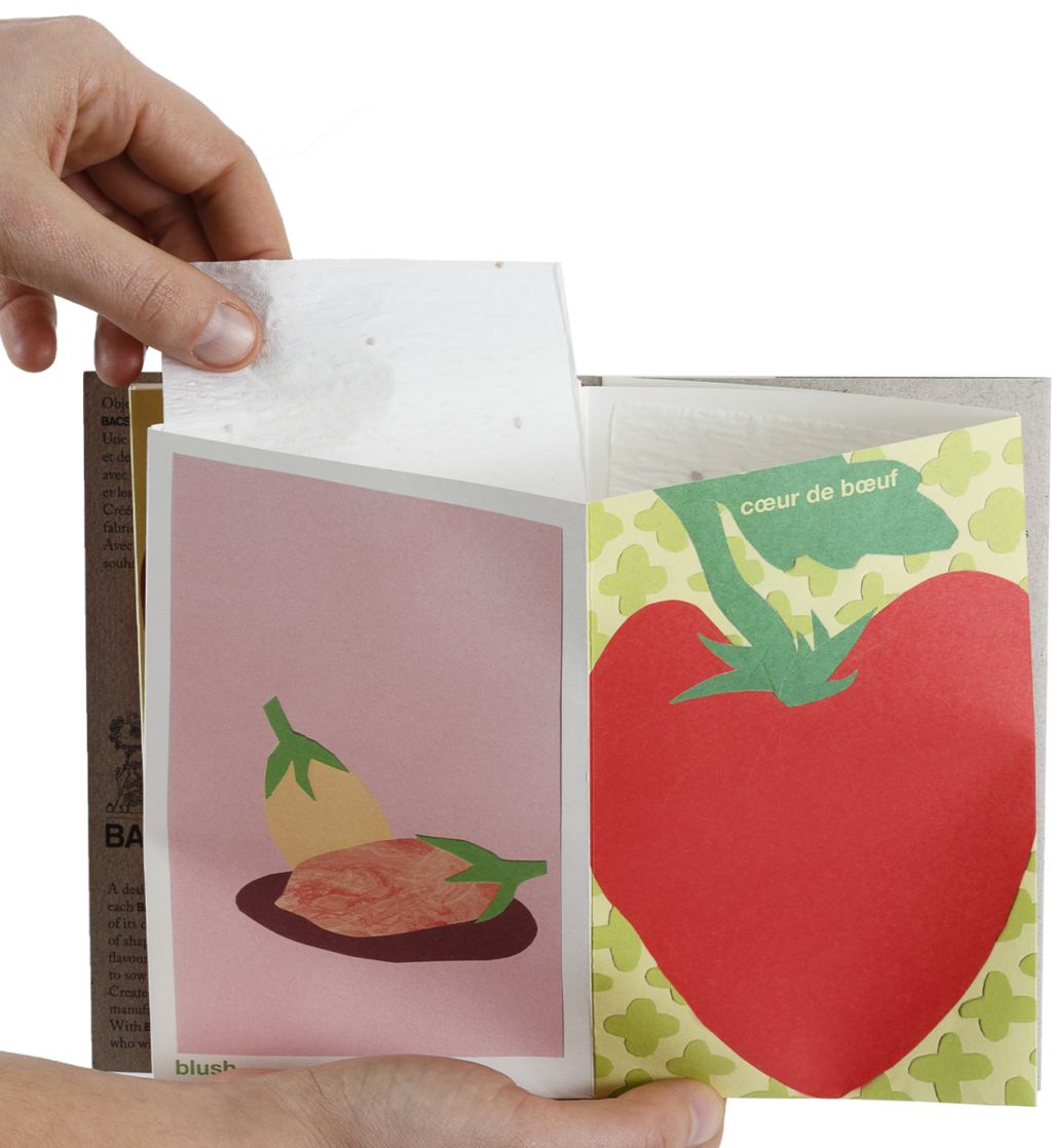  Tomatensamen-Buch FR/EN