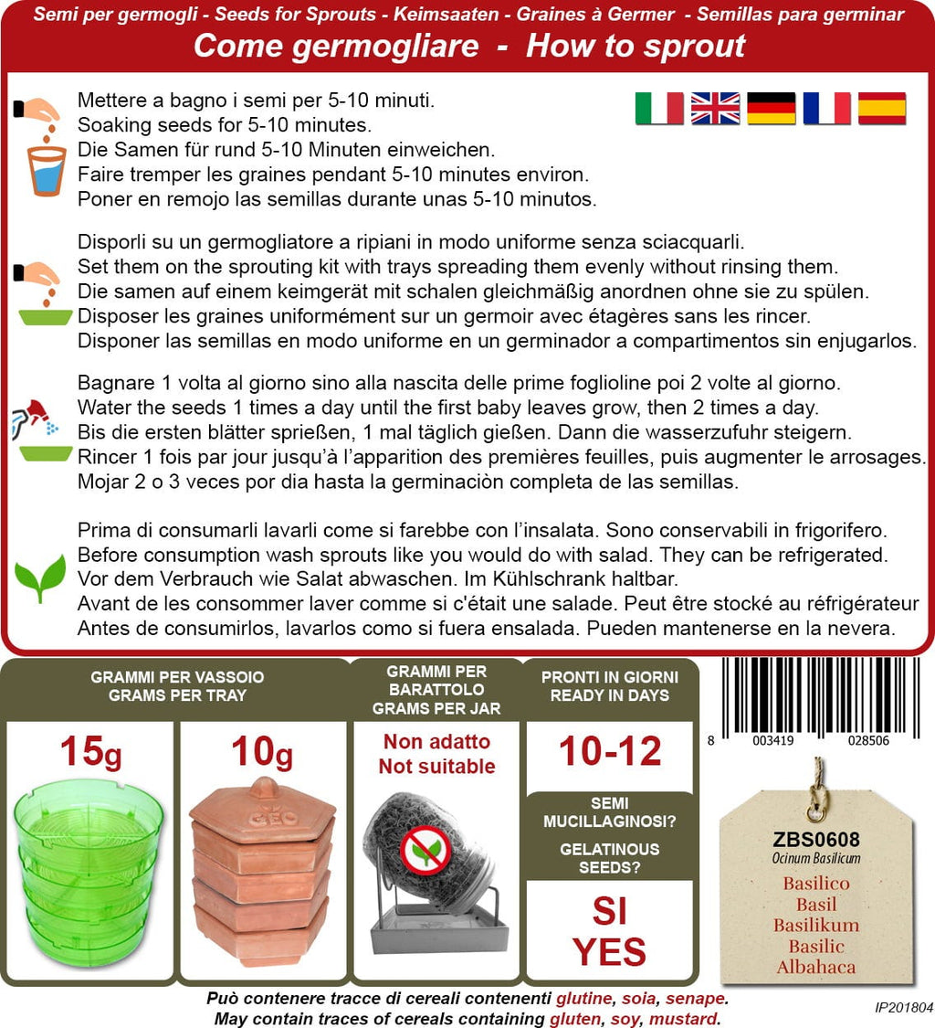  Bio Keimsprossen "Basilikum", 10 G