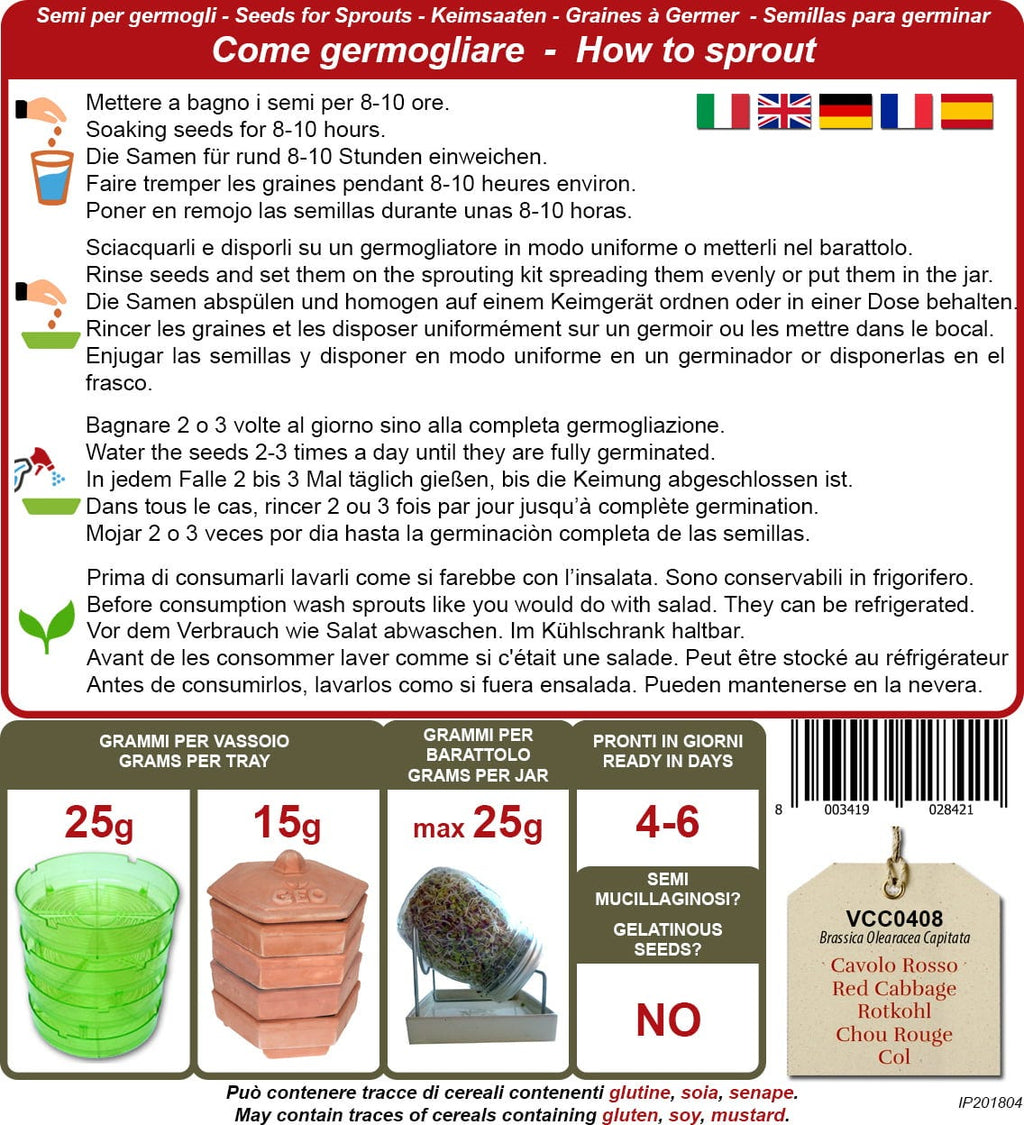  Bio Keimsprossen "Rotkohl", 12 G