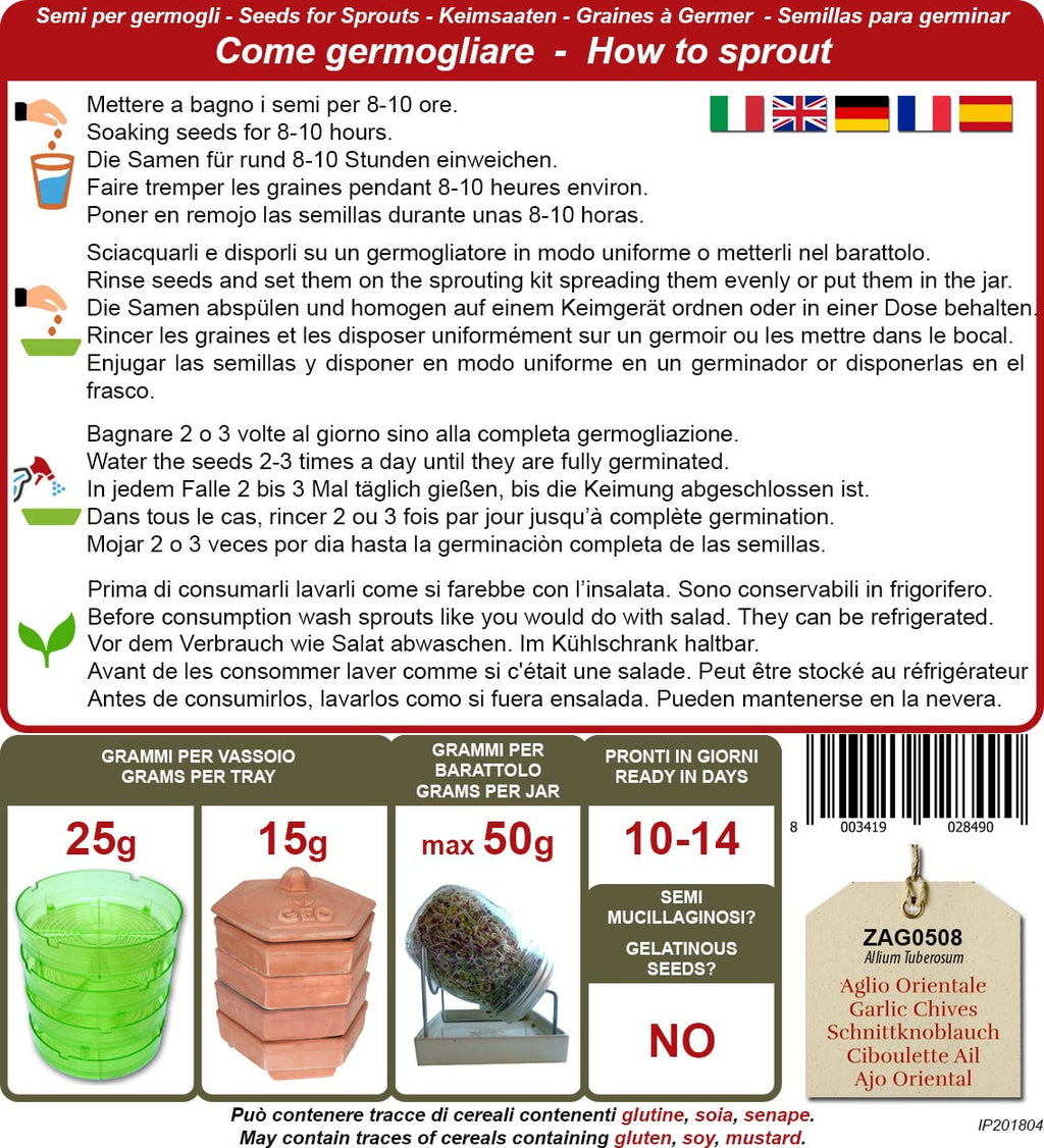  Bio Keimsprossen "Schnittknoblauch", 6 G