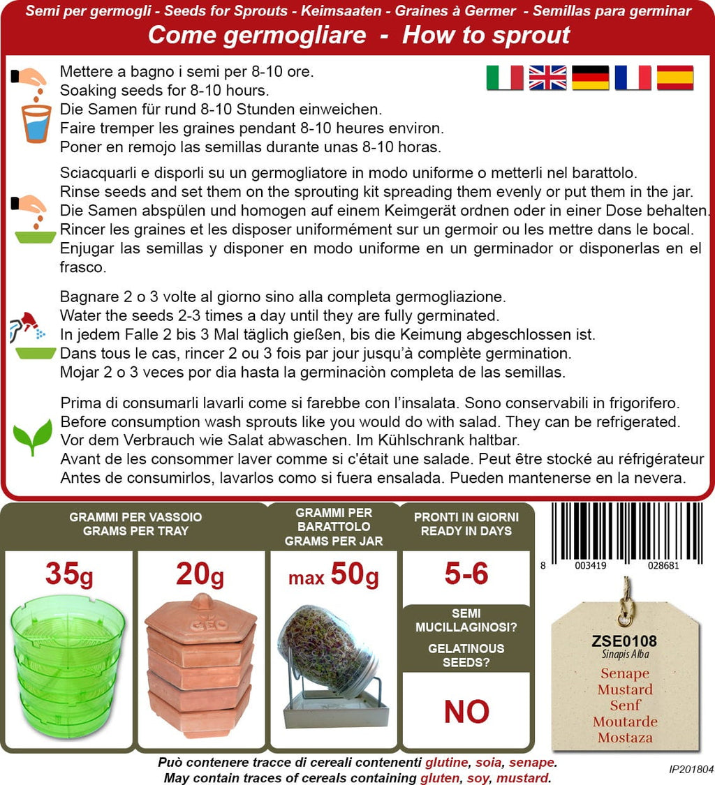  Bio Keimsprossen "Senf", 50 G