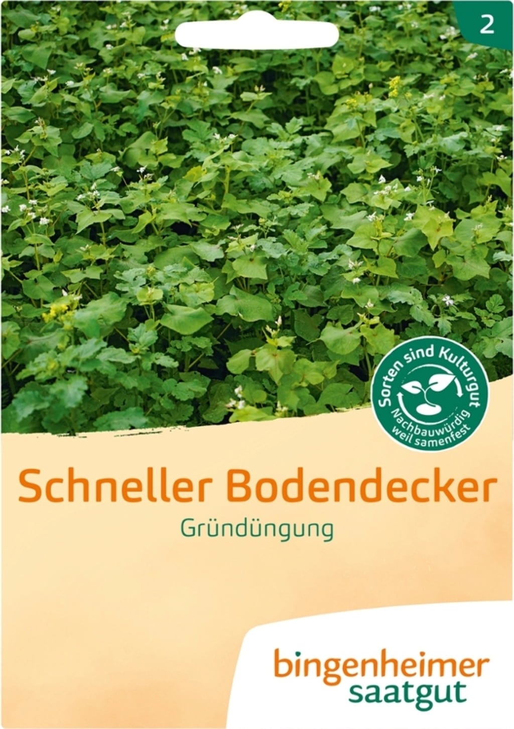  Gründüngung "Schneller Bodendecker"