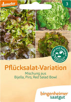  Pflück-Salat-Mischung