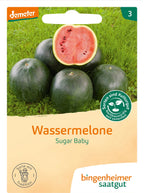  Wassermelone "Sugar Baby"