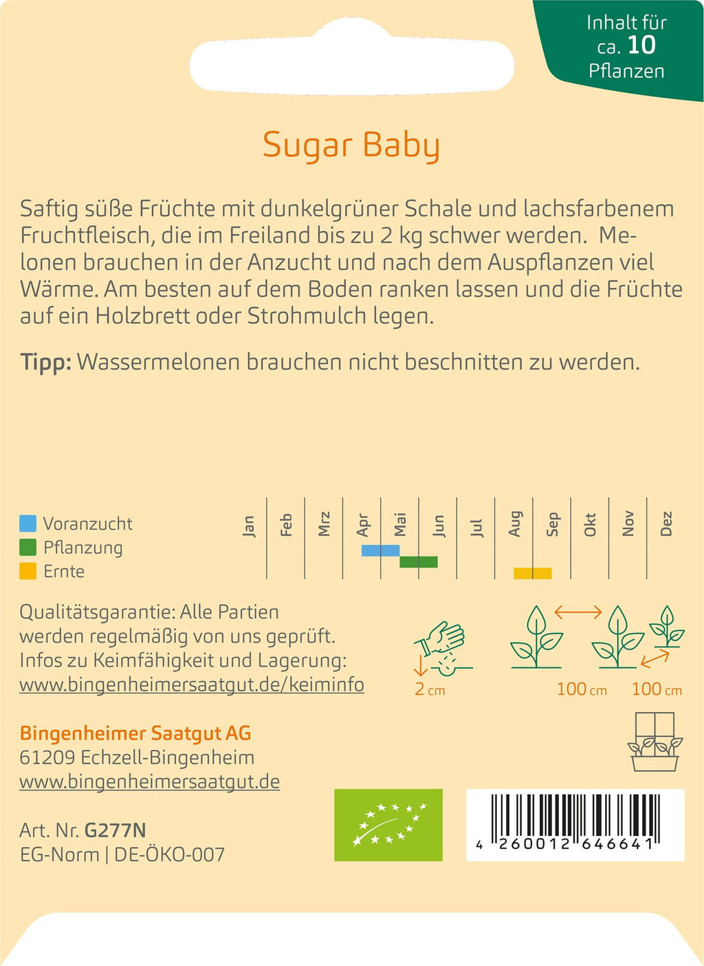 Wassermelone "Sugar Baby"