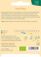  Wassermelone "Sugar Baby"