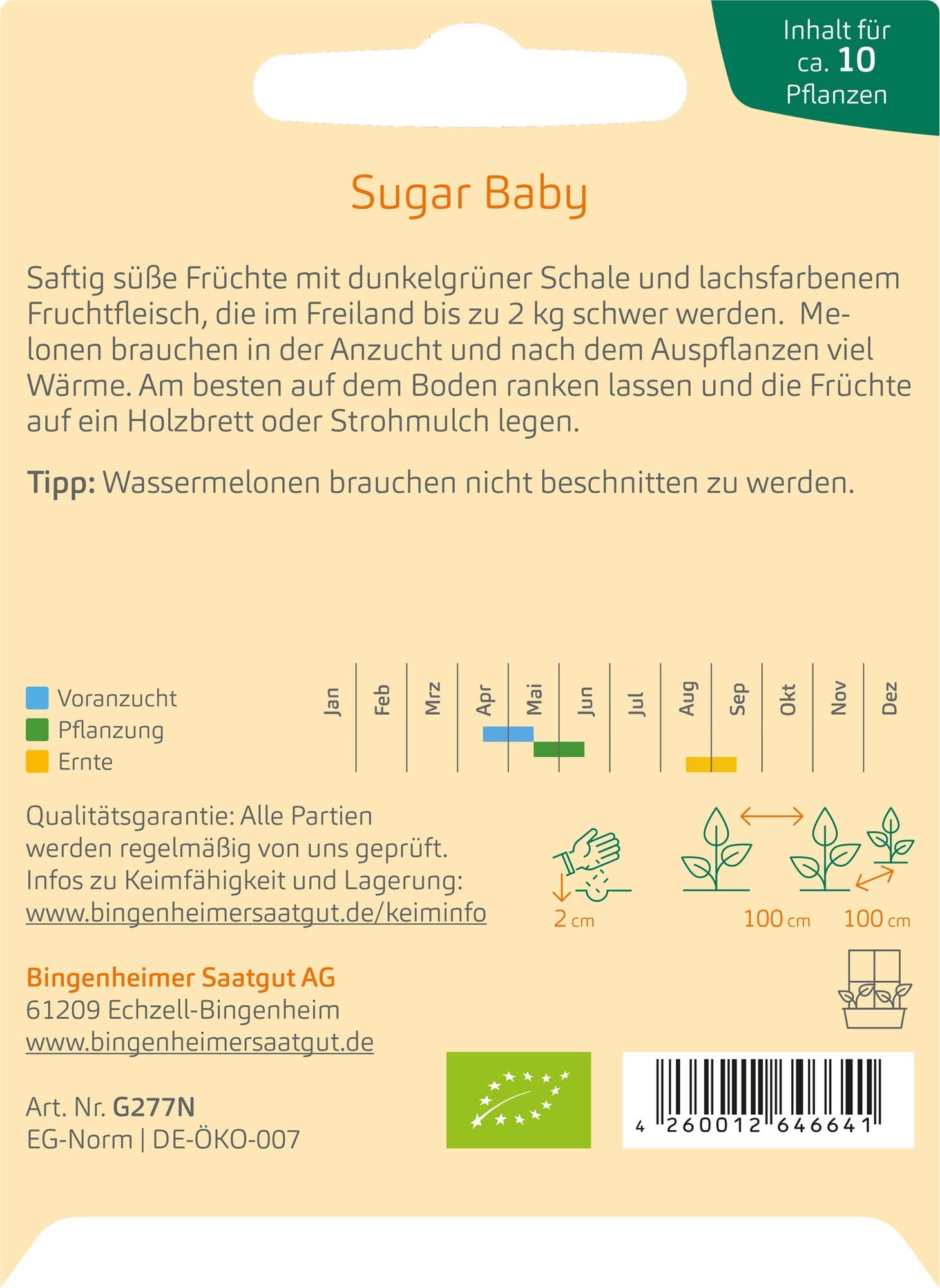  Wassermelone "Sugar Baby"
