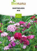  Bio Bartnelken Mix