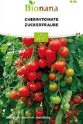  Bio Cherrytomate „Zuckertraube“