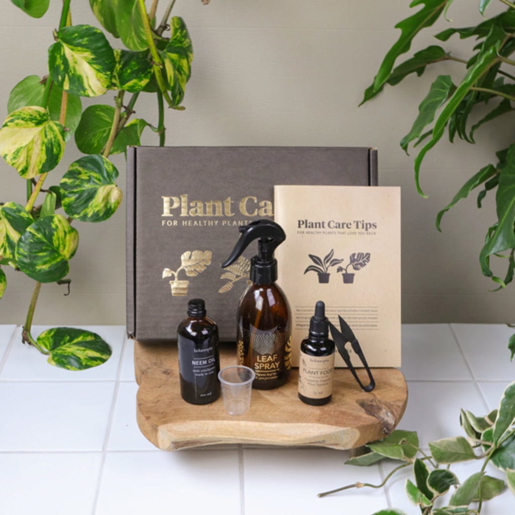  Pflanzen-Pflege-Set
