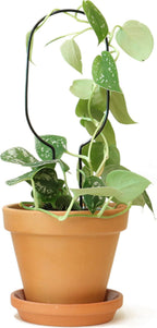  Rankhilfe "Mini Plant Stake" - Schwarz, Hoop