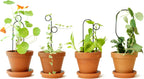  Rankhilfe "Mini Plant Stake" - Schwarz, Hoop
