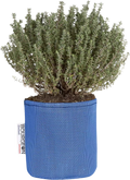  Pflanztasche Aus Geotextil ∅ 12 Cm, Blau