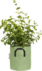 Pflanztasche Aus Geotextil ∅ 20 Cm, Grün