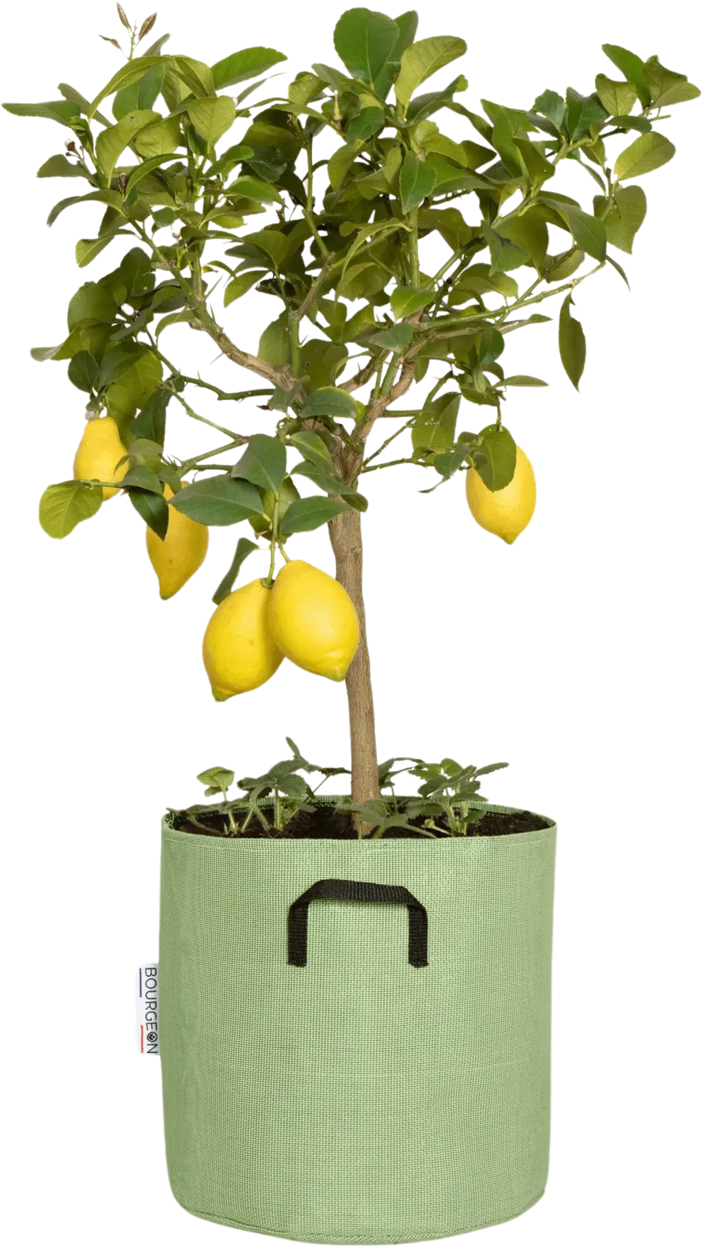  Pflanztasche Aus Geotextil ∅ 30 Cm, Grün