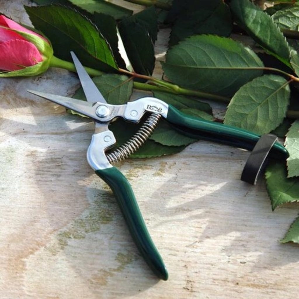  Blumen- & Früchteschere