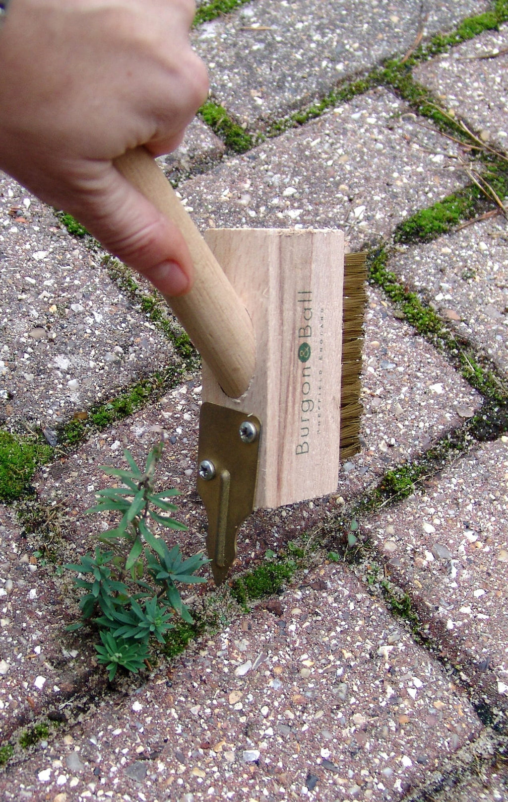  Fugenreiniger "Brush & Weeder" 45 Cm